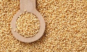Amaranth Seeds, Shape : Round, Purity : 99.9%