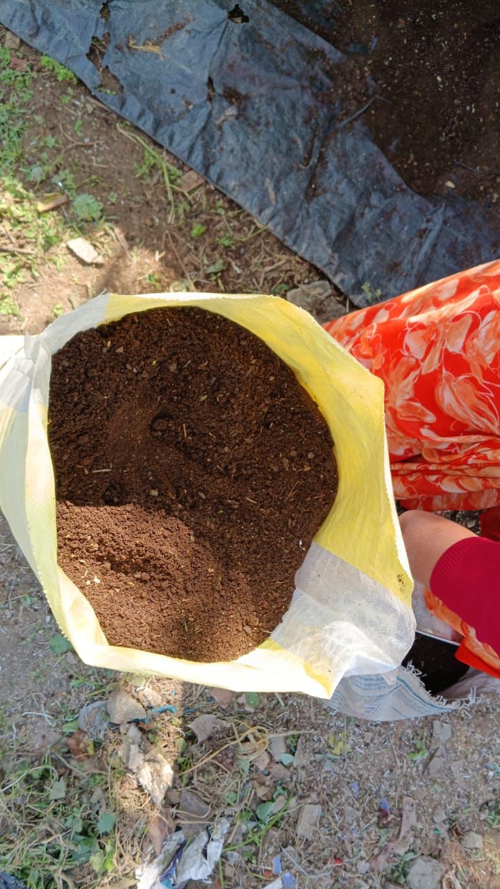 Organic Cow Dung Manure