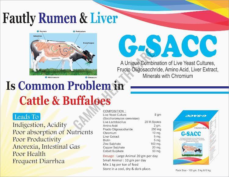 G-SACC Yeast Powder