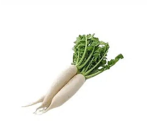 A Grade Fresh Radish, Color : White for Cooking