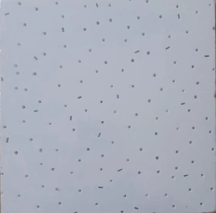 Mineral Fiber Ceiling Tiles