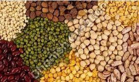 indian pulses