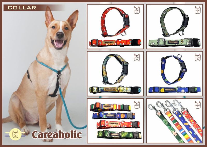 Dog Collars