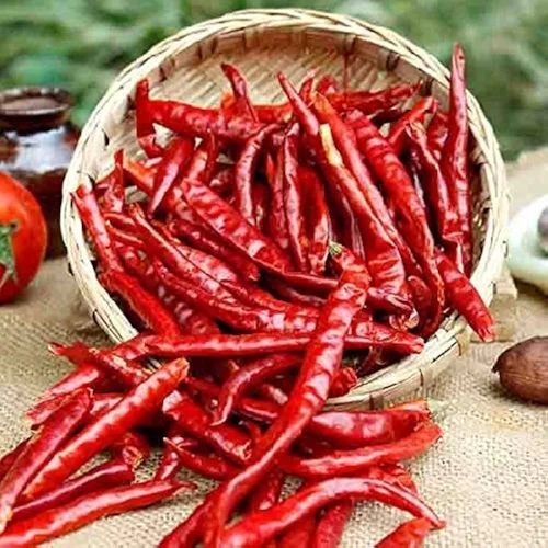 Organic Dried Red Chilli Food Grade for Cooking