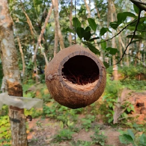 Coconut Shell Bird Nest, Color : Brown
