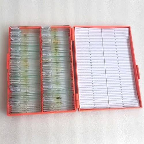 Glass Prepared Microscope Slide, Color : Transparent