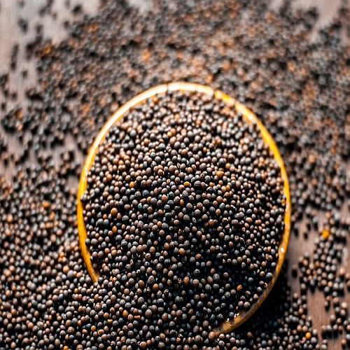 Mustard Seeds