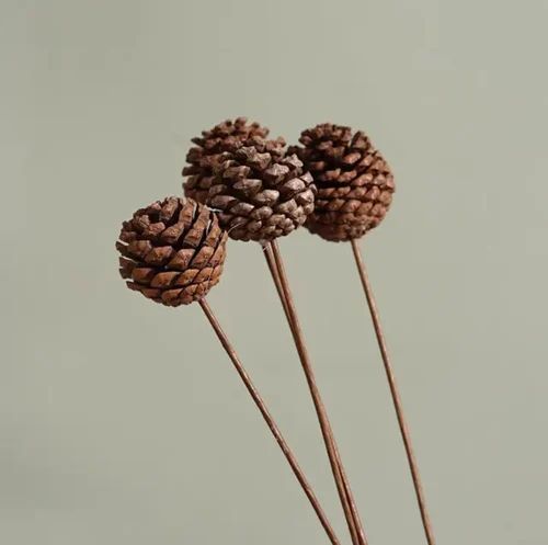 10 Inch Natural Pine Cone, Color : Dark Brown