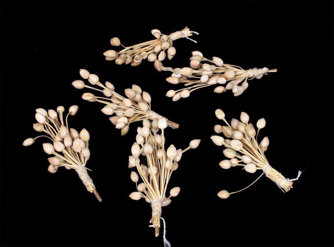 Artificial Off White Moti Bunch