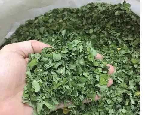 Dry Moringa Leaves
