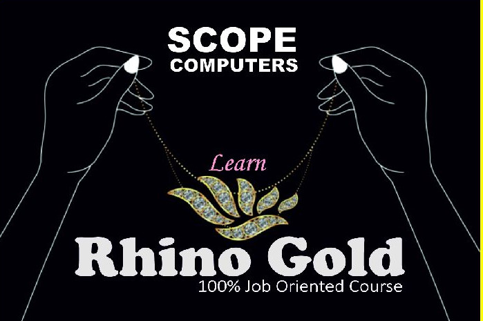 Rhino Gold Computers Training