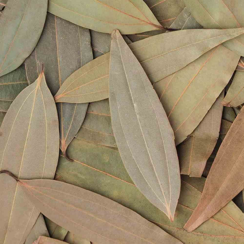 Dried Bay Leaves