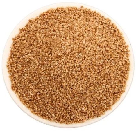 Kodo Millet Seeds, Color : Brown, Packaging Type : Bag