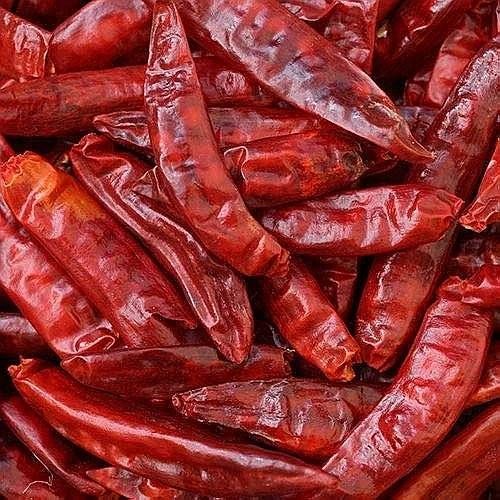 Sun Dried Dry Red Chilli, Packaging Type : Plastic Bag