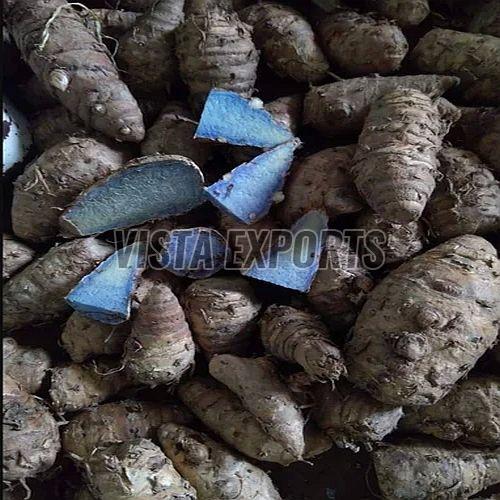 Black Turmeric Finger, Packaging Type : Bag