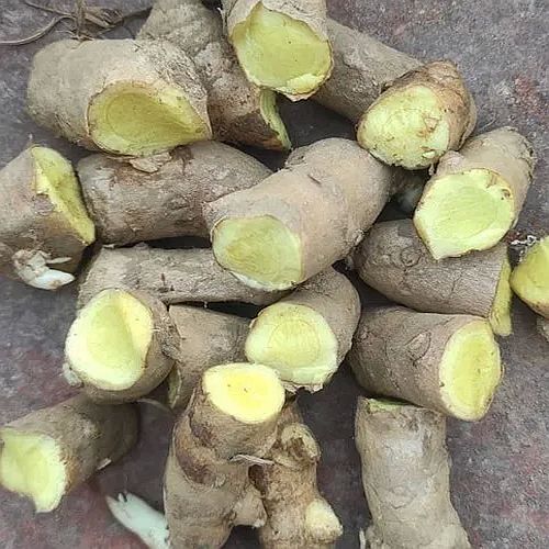 White Turmeric Finger for Cosmetics, Herbal Formulations