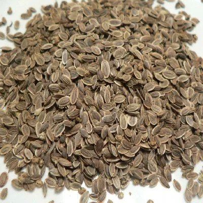 Brown Dill Seeds, Packaging Type : Sealed Packet for Culinary Seasoning