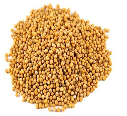 Yellow Mustard Seeds