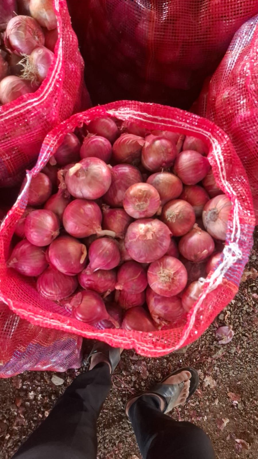 red onion