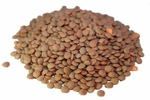 Premium Brown Masoor Dal