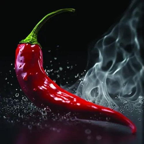 Branding Design Services