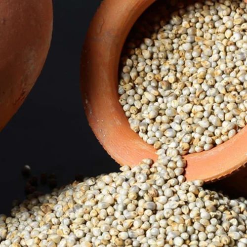Indian Organic Bajra Pearl Millet
