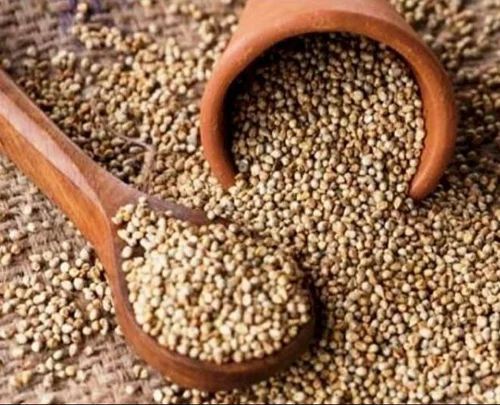 Natural Green Bajra Seed