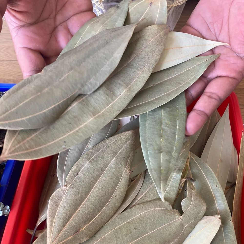 Dried Bay Leaves