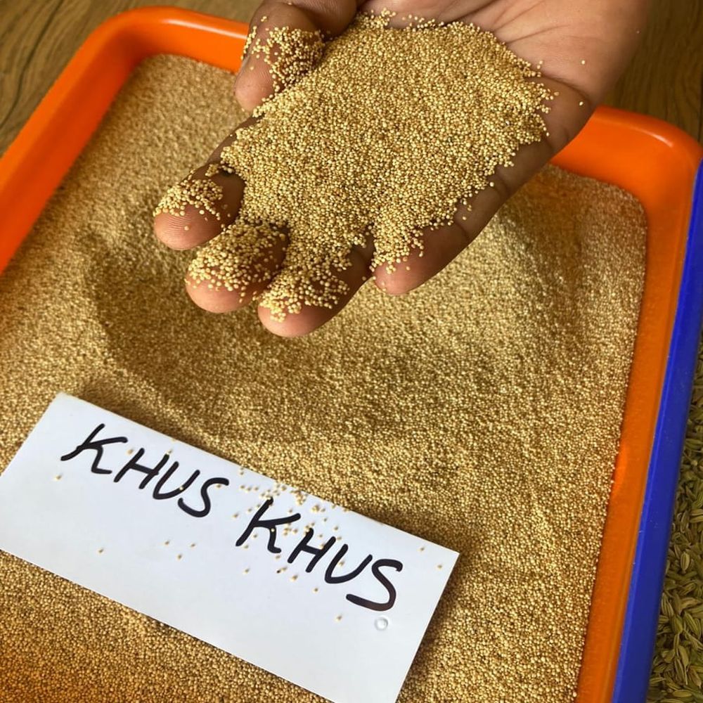 Khus Khus Seeds
