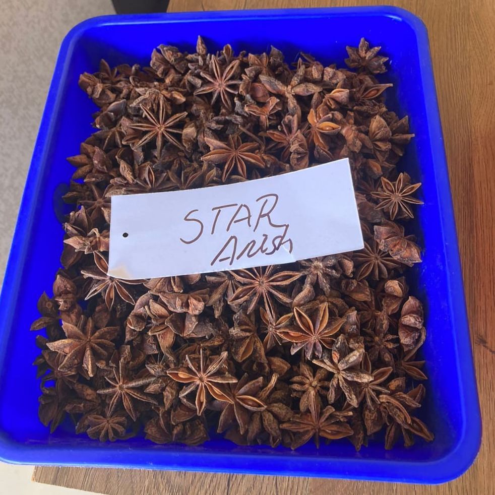 Star Anise Seeds