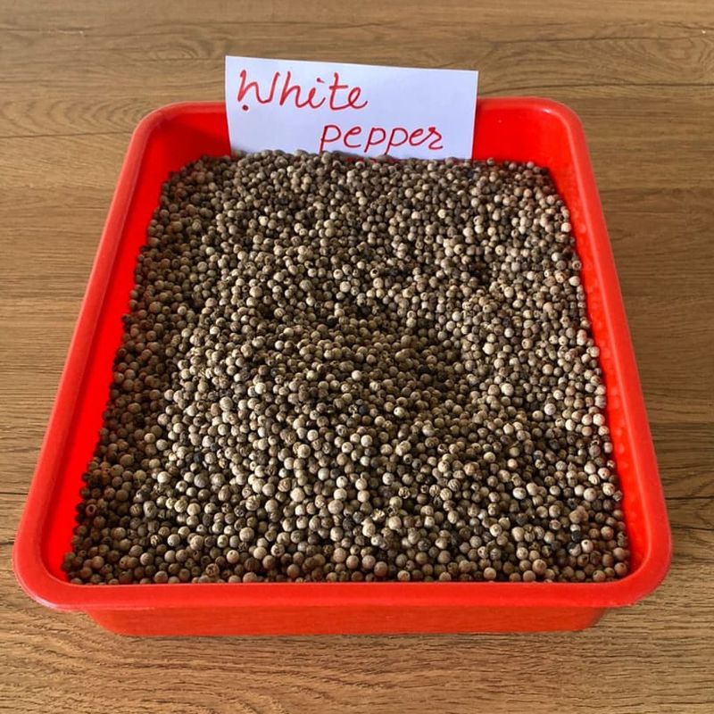 White Pepper Seeds