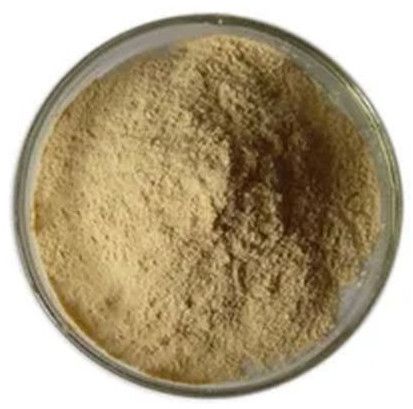 3000 GDU Bromelain Enzyme Powder for Industrial