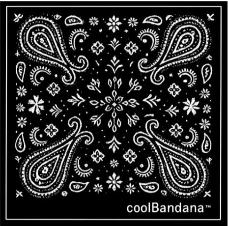 Unisex Classic Paisley Fashion Bandana