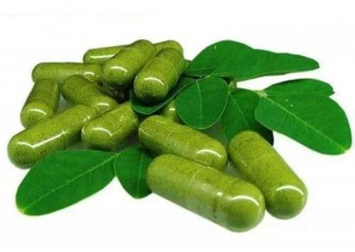 Moringa Capsules, Color : Green, Certification : FSSAI Certified