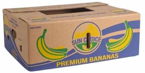 Cardboard Printed Fruit Packing Box, Shape : Rectangular