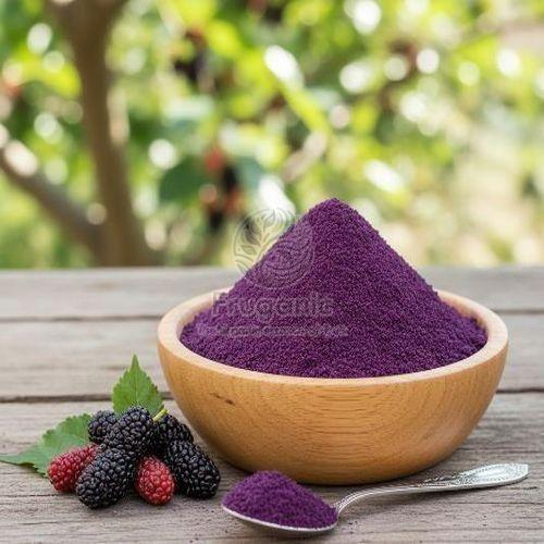 Spray Dried Mulberry Powder, Color : Purple