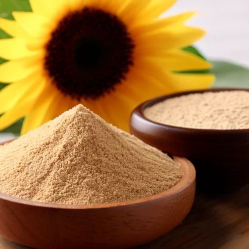 Sunflower Lecithin Powder