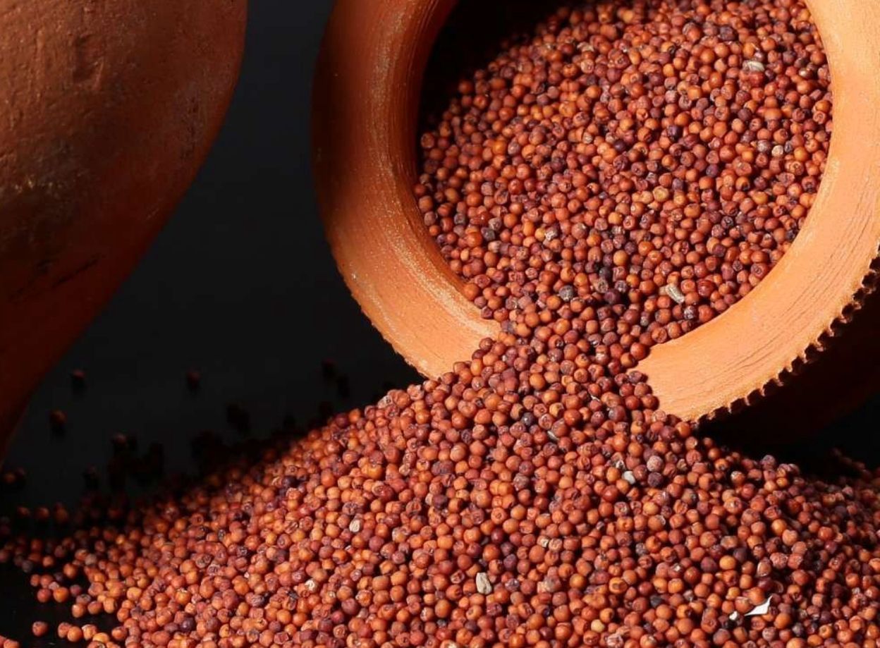 Ragi Millets