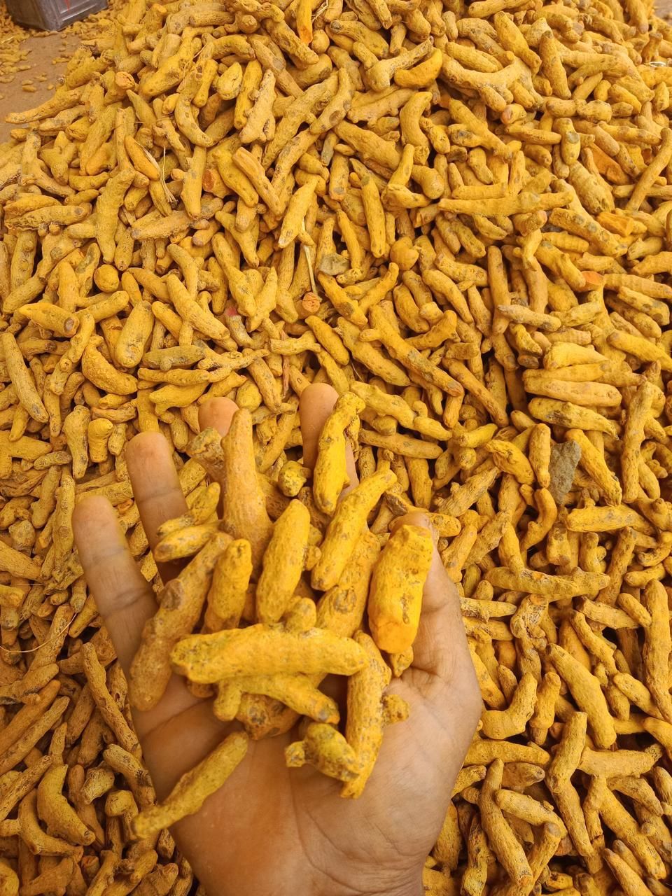 turmeric