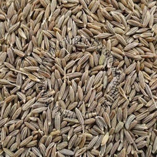Brown Cumin Seeds