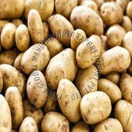 Fresh Brown Potato