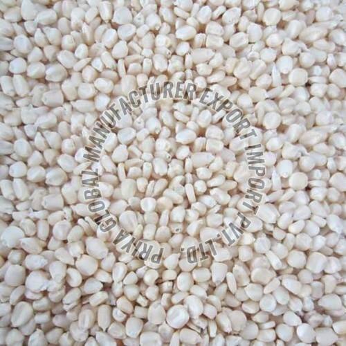 White Maize Seeds