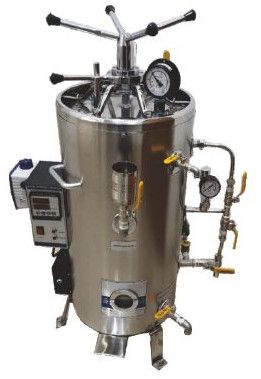 Polished Vertical High Pressure Sterilizer, Color : Silver