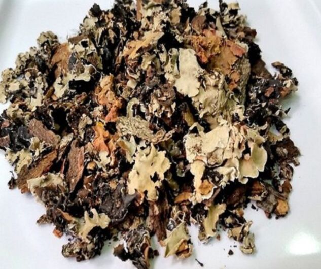 Black Stone Flower Dagad Phool