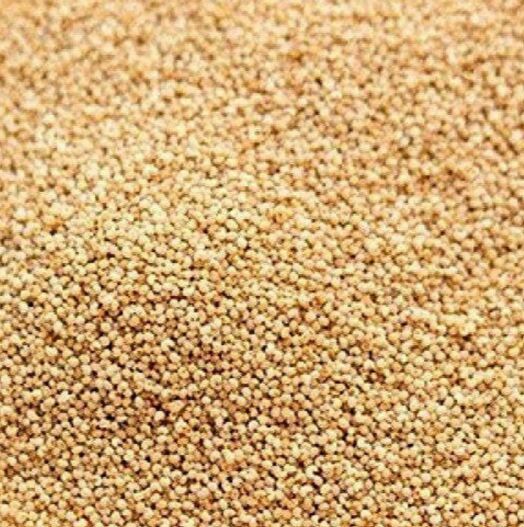 Brown Poppy Seedsbrown Poppy Seeds