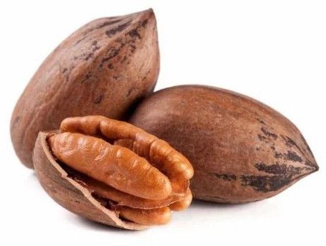 Whole Pecan Nut
