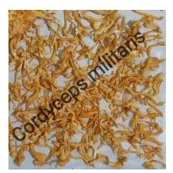 Dried Cordyceps Militaris, Color : Pale Orange, Form : Raw (Dried)
