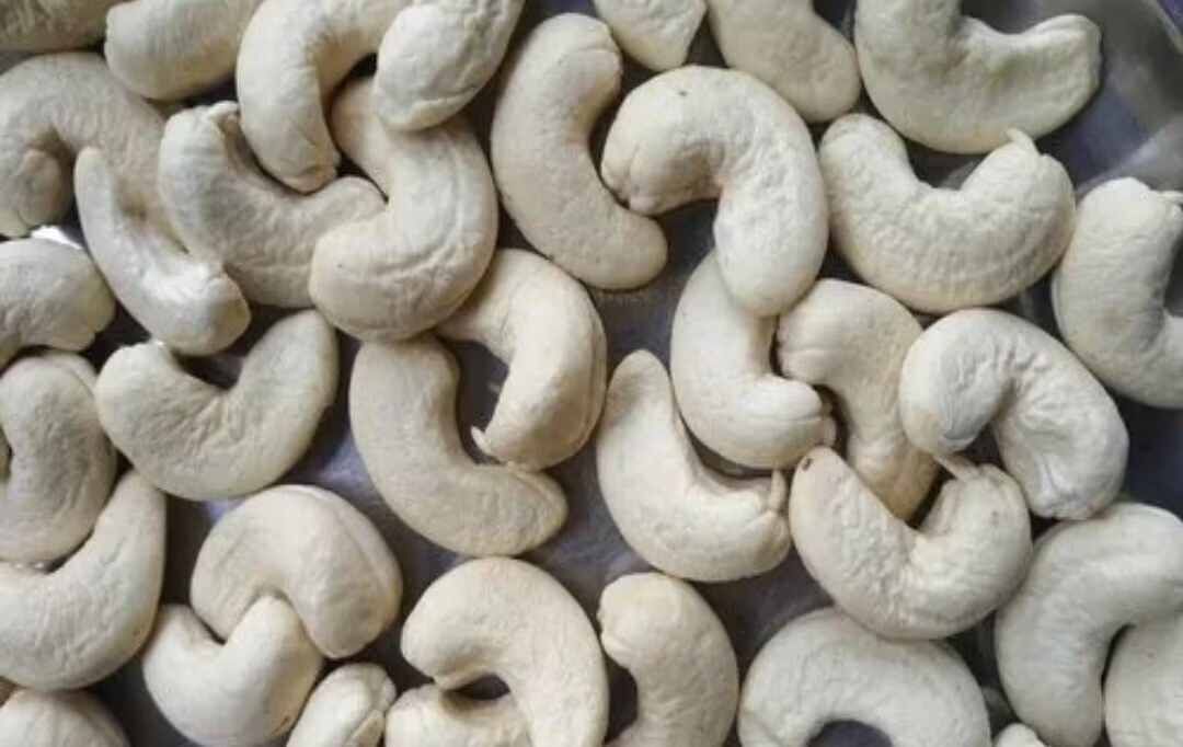 A1 Grade Cashew Nut