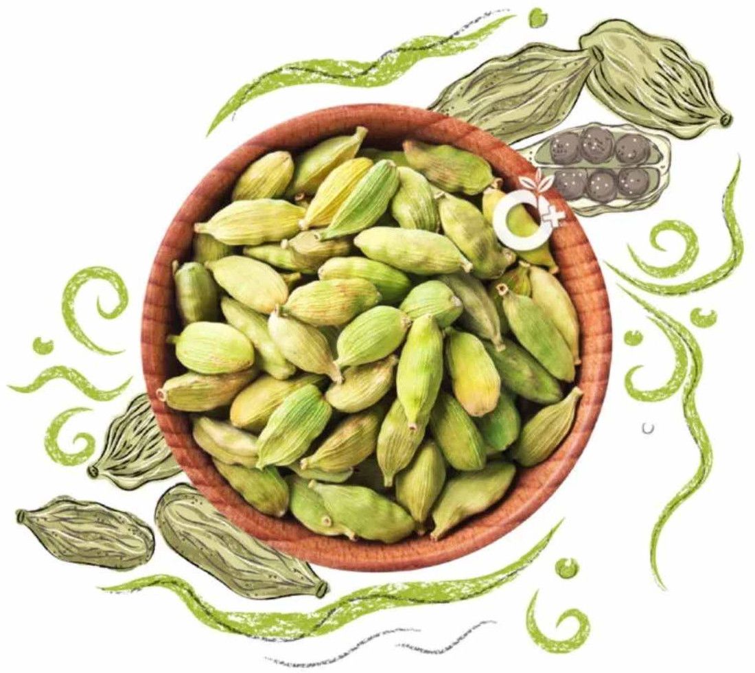 Spice Grade Green Cardamom