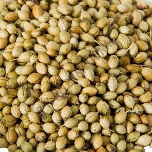 Coriander Seeds